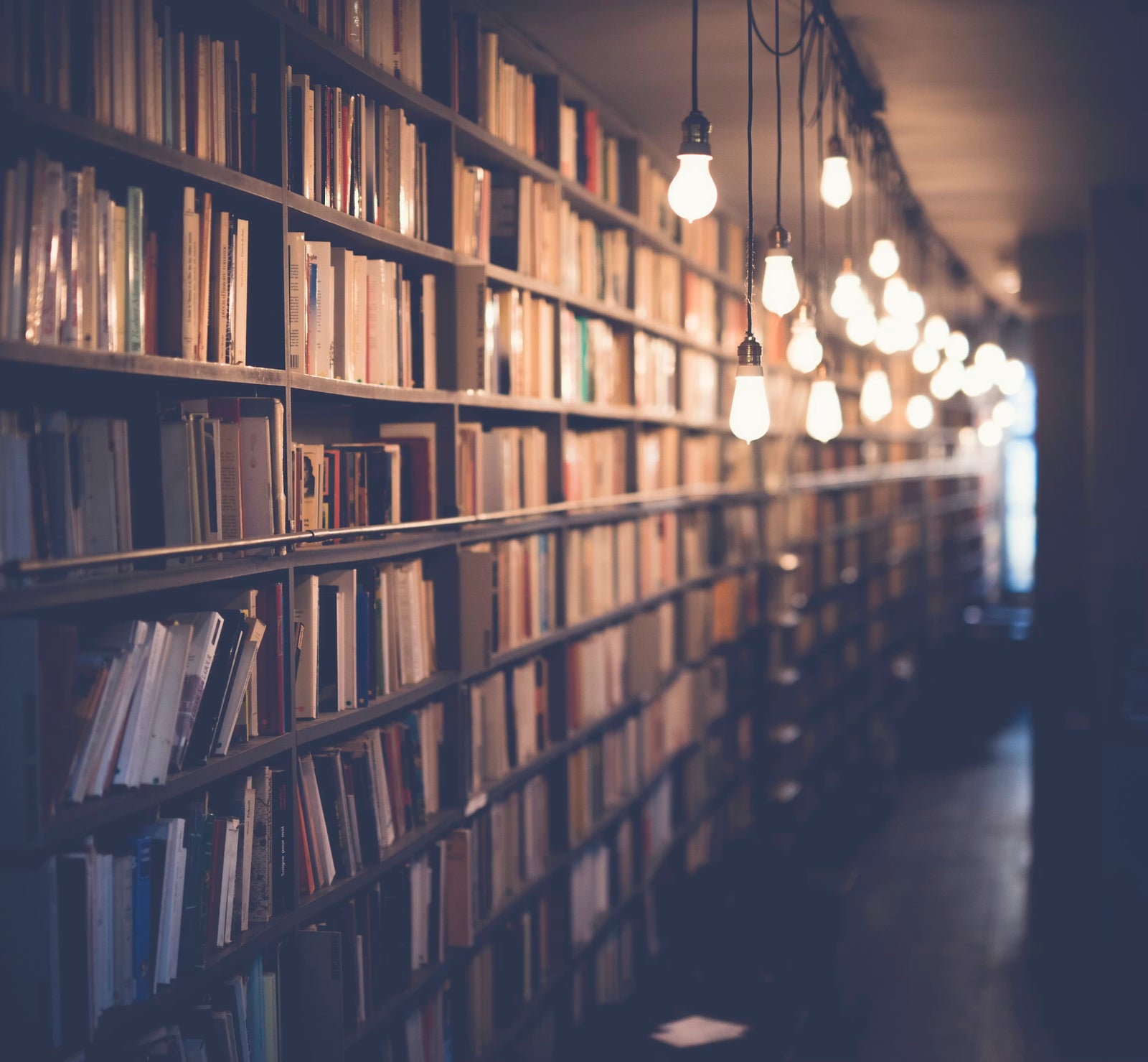 Warm library shelves
