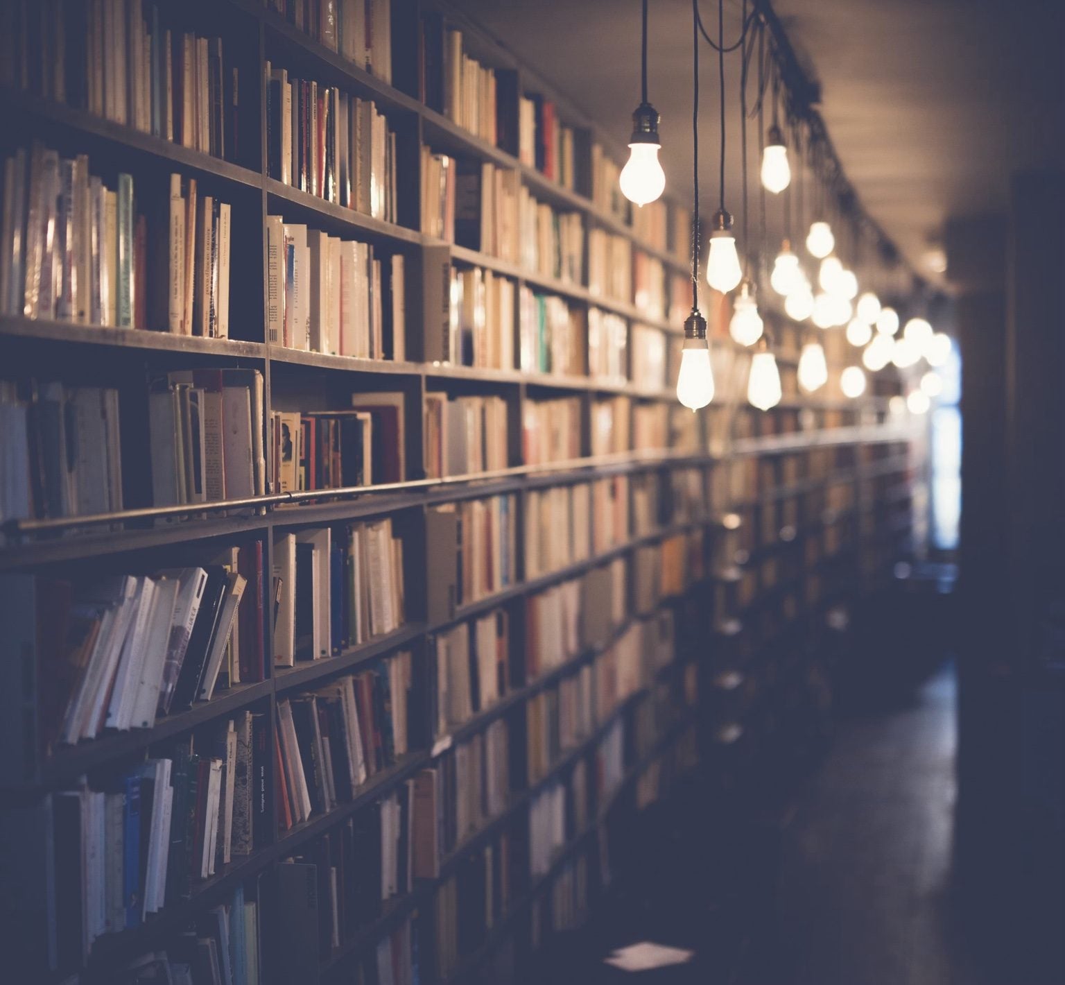 Warm library shelves