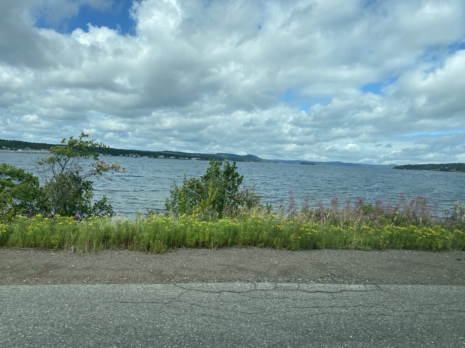 Newfoundland coast